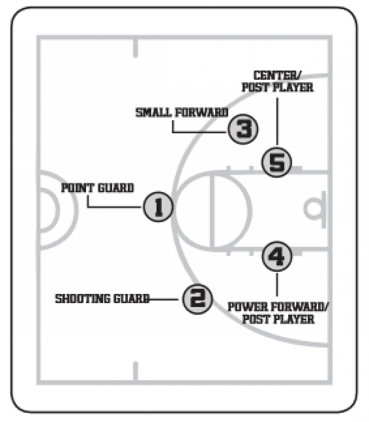 Basketball Positions Amherst Youth Basketball